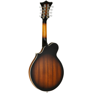 TWMFVSE Mandolina Electrificada  2