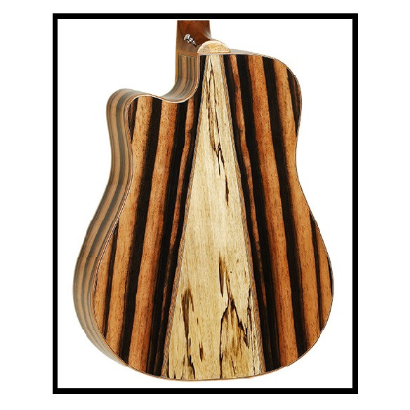 TWJDCE Guitarra Electroacústica Dreadnought