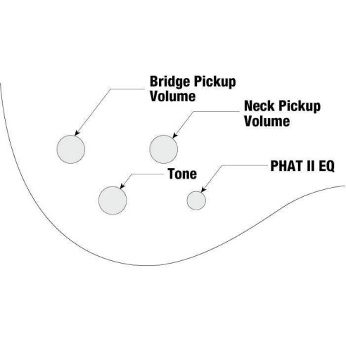 Compra GSR205B-WNF online | MusicSales