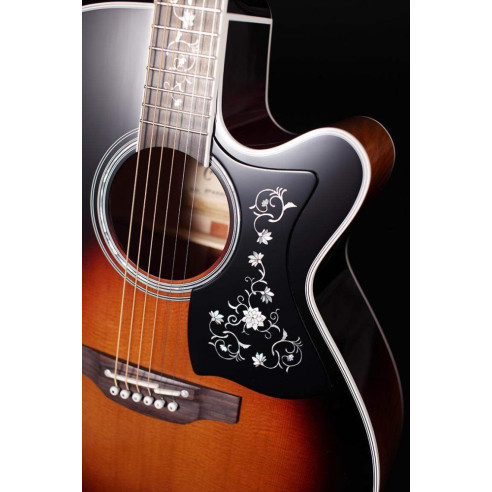 Compra EF450CTTBSB online | MusicSales