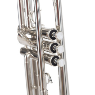 Amadeus TP-807N Trompeta Niquelada 2