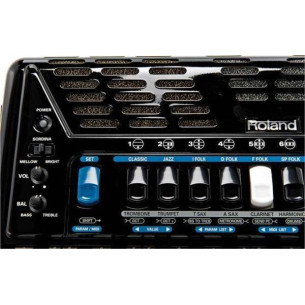 ROLAND FR-1X BK Acordeón Digital 2