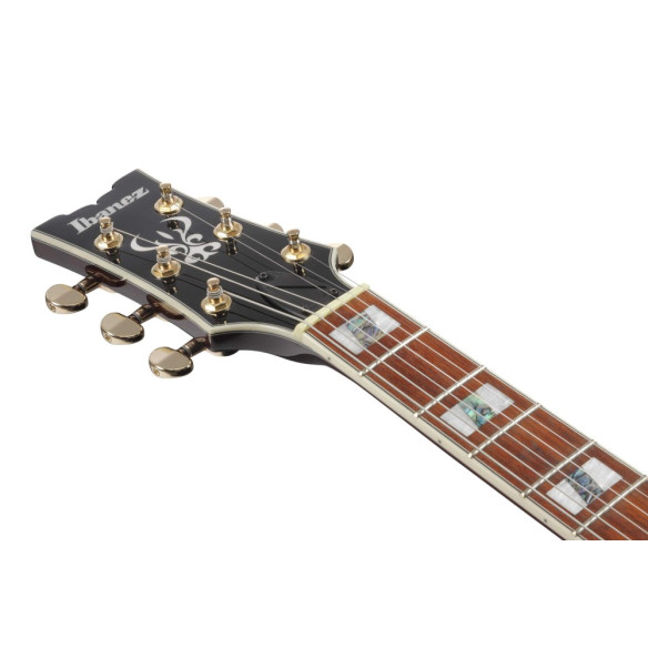 AR520HFM-LBB Guitarra Eléctrica Hollow Body  AR520HFM-LBB Guitarra Eléctrica Hollow Body