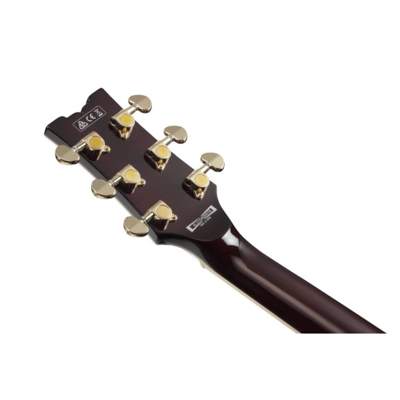 AR520HFM-LBB Guitarra Eléctrica Hollow Body  AR520HFM-LBB Guitarra Eléctrica Hollow Body