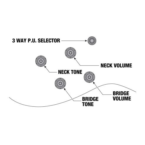 AG75G-BS Guitarra Eléctrica Artcore Hollow Body 