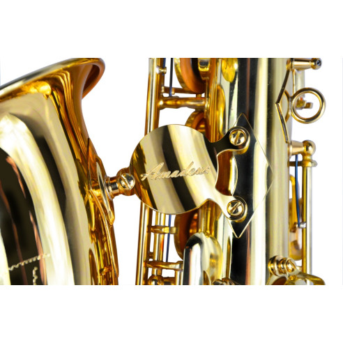 AMADEUS AL850 Saxo Alto Mib
