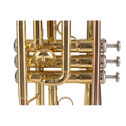 AMADEUS CO420 Corneta pistones Monel