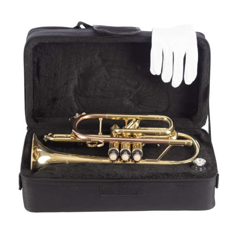 AMADEUS CO420 Corneta pistones Monel
