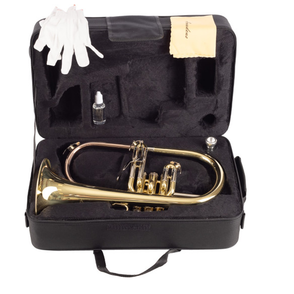 AMADEUS FLH450 Fliscorno pistones Monel AMADEUS FLH450 Fliscorno pistones Monel