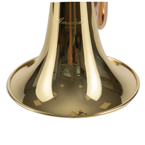 AMADEUS FLH450 Fliscorno pistones Monel