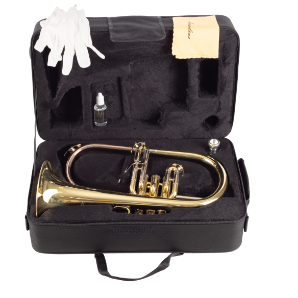 AMADEUS FLH450 Fliscorno pistones Monel AMADEUS FLH450 Fliscorno pistones Monel