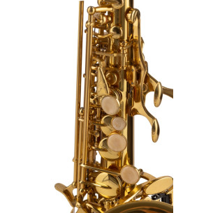 Amadeus SSC690 Saxo soprano curvo 2