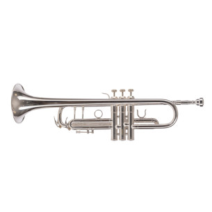 Amadeus TR700 Trompeta plateada
