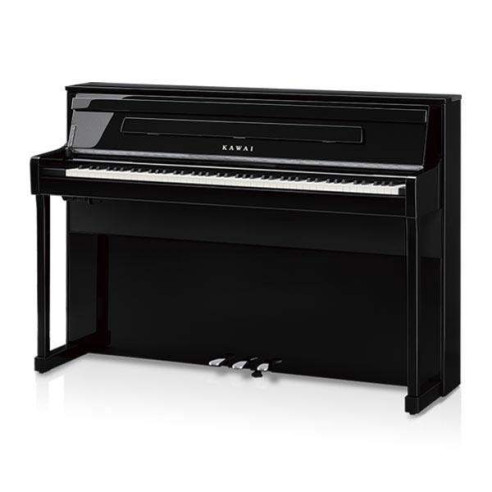 CA-901 PE Piano Digital Negro Pulido