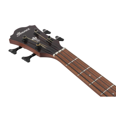 Ibanez AEGB24E-MHS Bajo Acústico Mahogany Sunburst