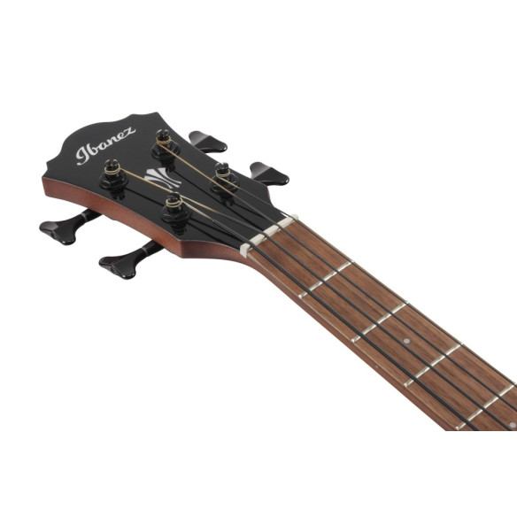 Ibanez AEGB24E-BKH Bajo Acústico Negro Ibanez AEGB24E-BKH Bajo Acústico Negro