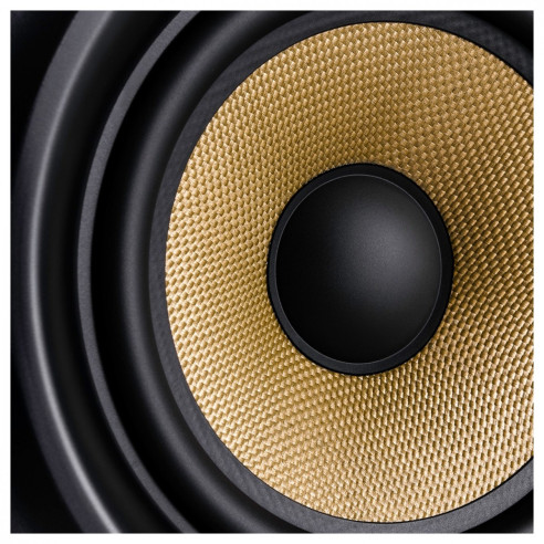 M-Audio FORTY SIXTY Monitor de estudio biamplificado