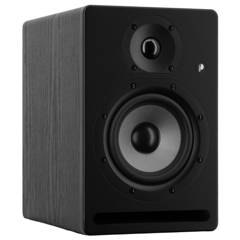 Prodipe PRO5V4BW Monitor de estudio Negro