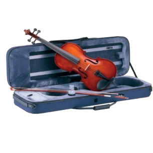 CARLO GIORDANO VL216 Viola 16" Acabado Envejecido