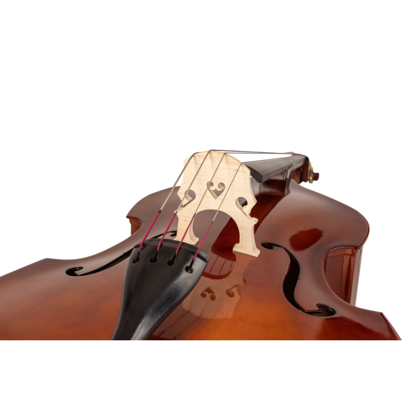 CARLO GIORDANO SB150 Contrabajo Estudio 3/4 con arco y funda