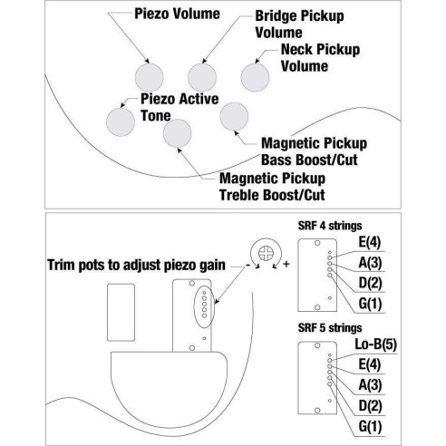 Compra SRF700-BBF online | MusicSales