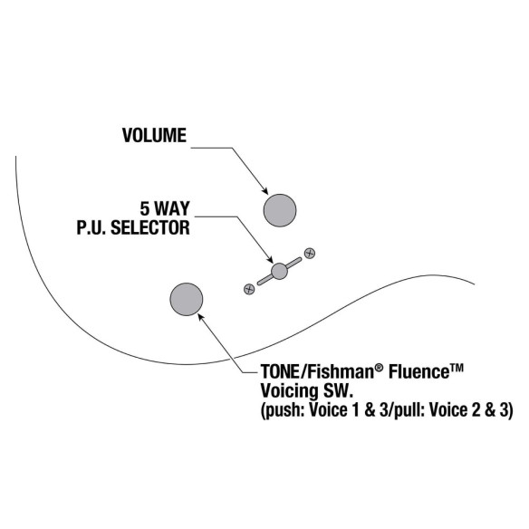 TOD10 Guitarra Eléctrica TIM HENSON Signature 