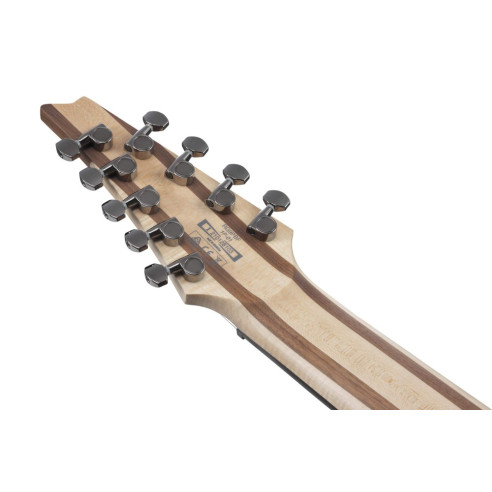 RG9PB-TGF Guitarra Eléctrica 9 Cuerdas RG