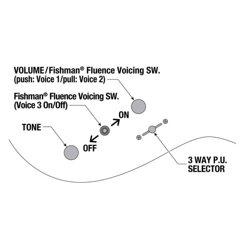 RG9PB-TGF Guitarra Eléctrica 9 Cuerdas RG