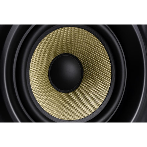 M-Audio FORTY SIXTY Monitor de estudio biamplificado