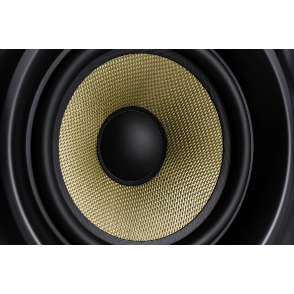 M-Audio FORTY SIXTY Monitor de estudio biamplificado