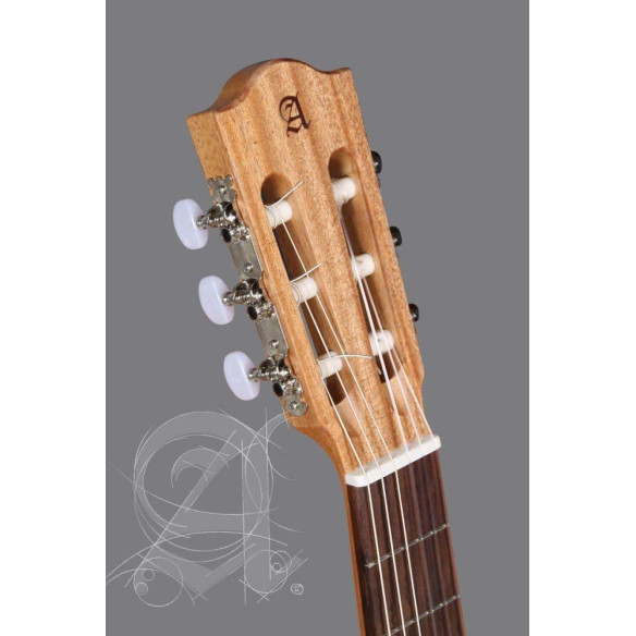 Guitarra clásica Alhambra Z-Nature de la Serie Estudio con tapa de cedro macizo y acabado mate. Guitarra clásica Alhambra Z-Nature de la Serie Estudio con tapa de cedro macizo y acabado mate.