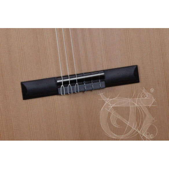 Guitarra clásica Alhambra Z-Nature de la Serie Estudio con tapa de cedro macizo y acabado mate. Guitarra clásica Alhambra Z-Nature de la Serie Estudio con tapa de cedro macizo y acabado mate.