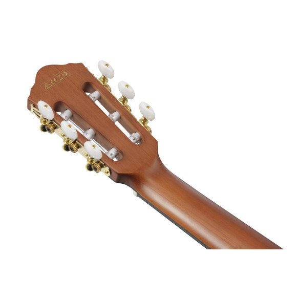 FRH10N-BSF Guitarra Clásica Electrificada 