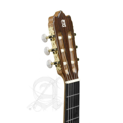 comprar Guitarra Clásica 4P de la serie Conservatorio con tapa de cedro macizo y aros y fondo de Palosanto de India.