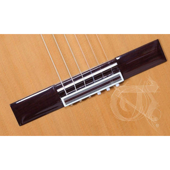 Compra Iberia Ziricote CTW E8 online | MusicSales