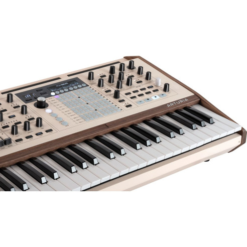 POLYBRUTE 12 Sintetizador polifónico