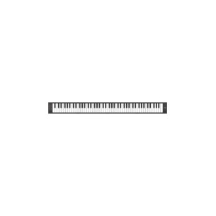 Teclado, piano, plegable, de viaje, compacto, portátil, de 88 teclas, Carry on 88. Color negro. 2