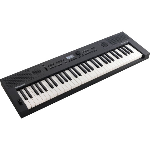Roland GO KEYS 5 GT GRAPHITE Teclado 61 teclas Arranger