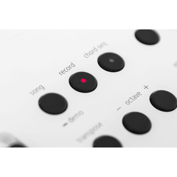 Roland GO KEYS 5 WH WHITE Teclado 61 teclas Arranger