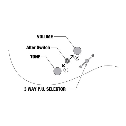 AZS2200-MGR Guitarra Eléctrica AZS Prestige