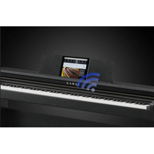 Compra KDP-120B Negro Mate online | MusicSales