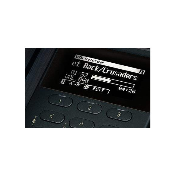 Kawai CN-301 B Piano Digital 88 teclas Negro Mate