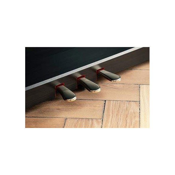 Kawai CN-301 B Piano Digital 88 teclas Negro Mate