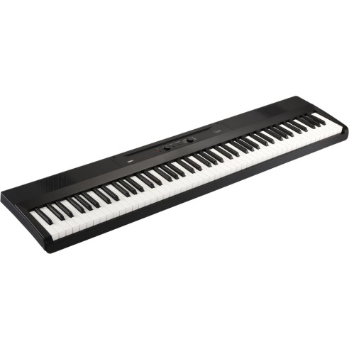 LIANO BLACK Piano Digital 88 Teclas