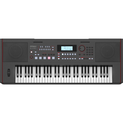 ROLAND E-X50 Teclado Arranger