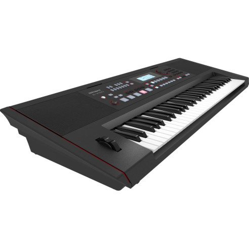 ROLAND E-X50 Teclado Arranger
