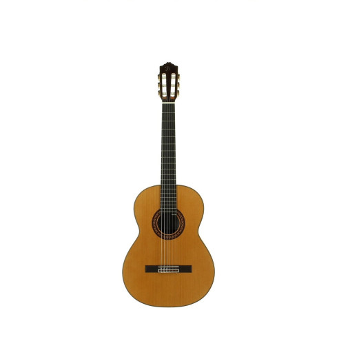 Comprar Guitarra clasica fabricada en España José Torres JTC-100 con tapa maciza de Cedro y aros y fondo de Ciricote.