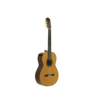 Comprar Guitarra clasica fabricada en España José Torres JTC-100 con tapa maciza de Cedro y aros y fondo de Ciricote. 2
