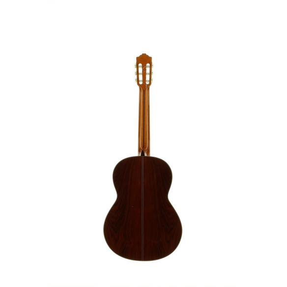 Comprar Guitarra clasica fabricada en España José Torres JTC-100 con tapa maciza de Cedro y aros y fondo de Ciricote. Comprar Guitarra clasica fabricada en España José Torres JTC-100 con tapa maciza de Cedro y aros y fondo de Ciricote.