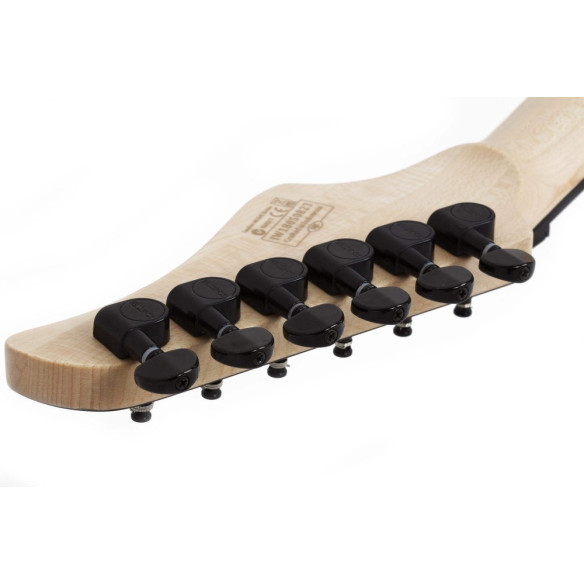 C-6 FR PRO ARB Guitarra Eléctrica Aurora Burst 